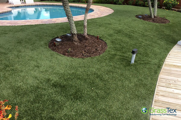 GrassTex lawn with a tree surrounded by mulch and a pool in the background
